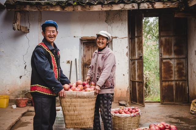 買菜成為時(shí)髦雙11淘菜菜農(nóng)產(chǎn)品銷售超過(guò)24億斤