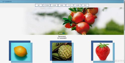 java計算機畢業(yè)設(shè)計農(nóng)產(chǎn)品銷售系統(tǒng) 開題報告 源碼 論文