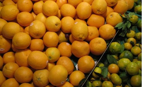 初級(jí)農(nóng)產(chǎn)品是不是也可以是預(yù)包裝食品