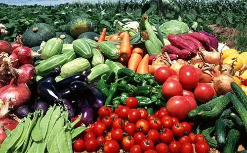 農業農村部 上半年我國農產品市場供給總體充裕