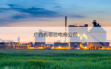 廣西有哪些電商公司 電商企業(yè)業(yè)務(wù)內(nèi)容